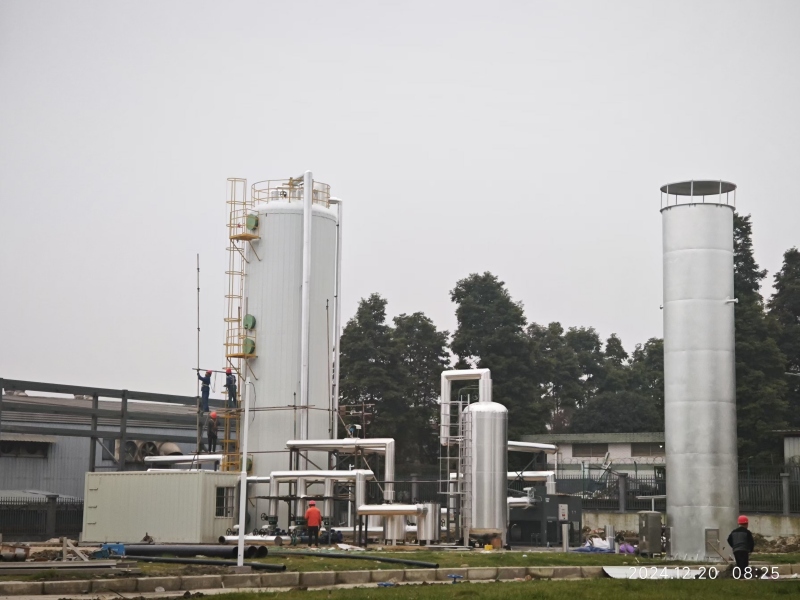 Biological desulfurization system