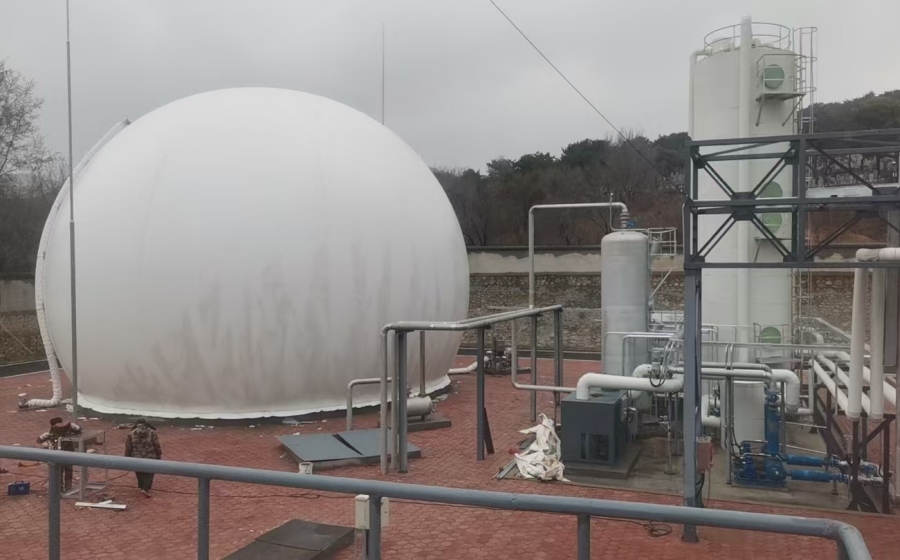 Anshan Biogas Biodesulfurization